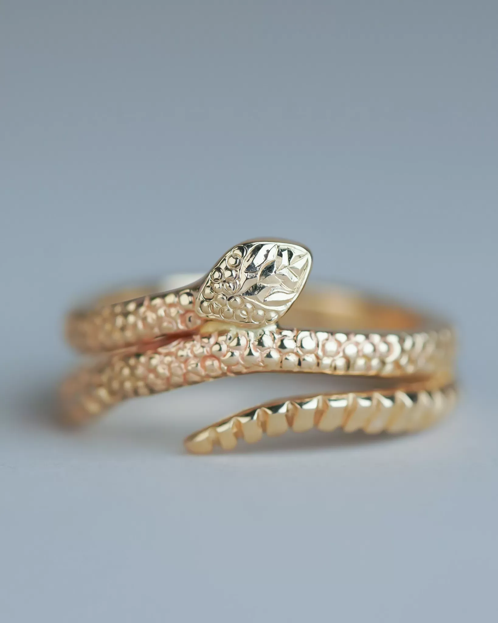 Discount Maiden Voyage Ophidian Ring