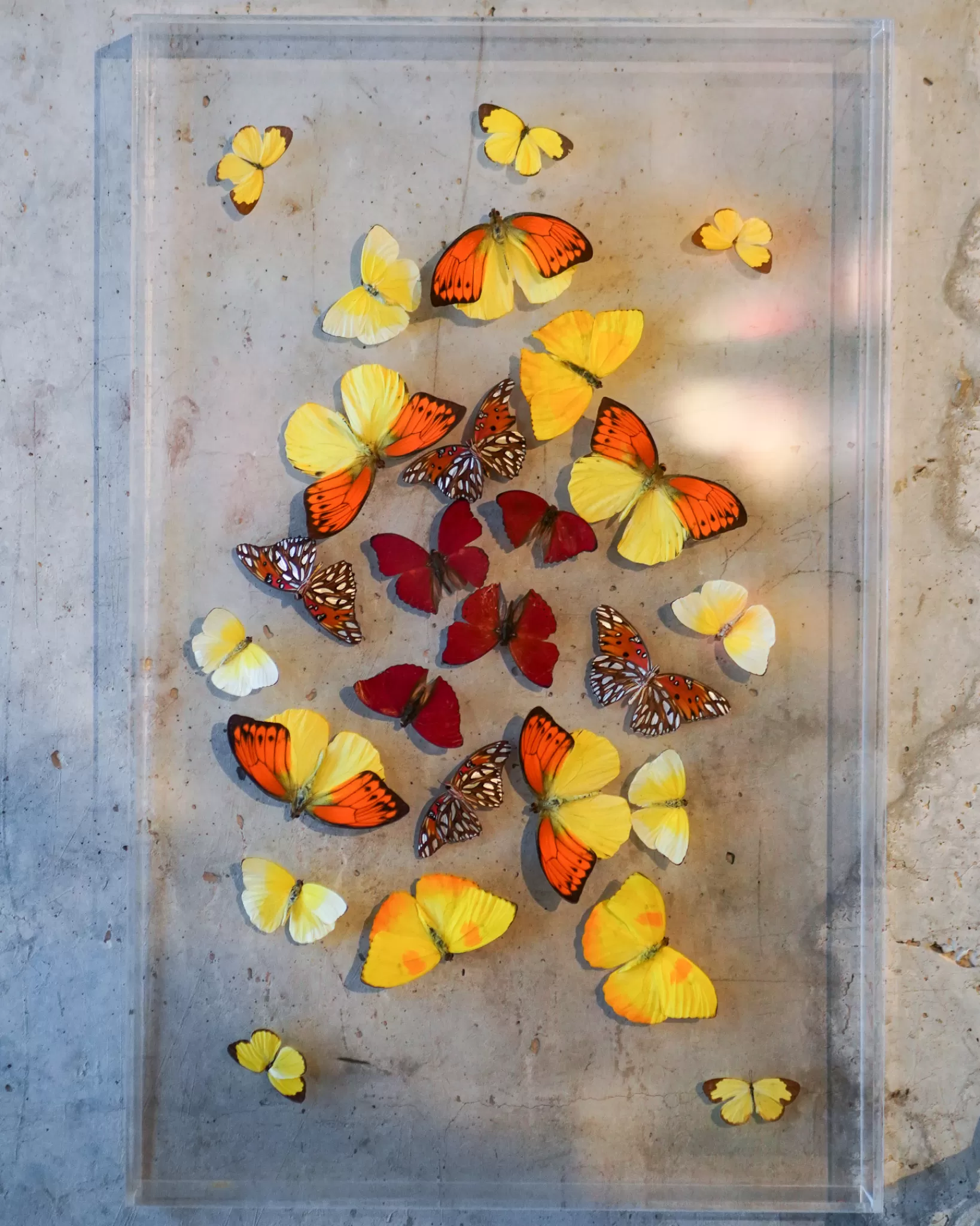 Clearance The Butterfly Company - Orange & Yellow Wall Hanging